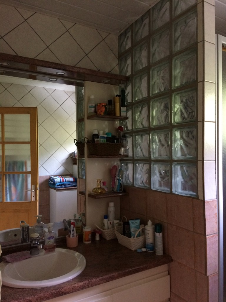 réhabilitation d'un appartement - grenoble - snackarchitecture - cuisine- salle de bain-verrière bois